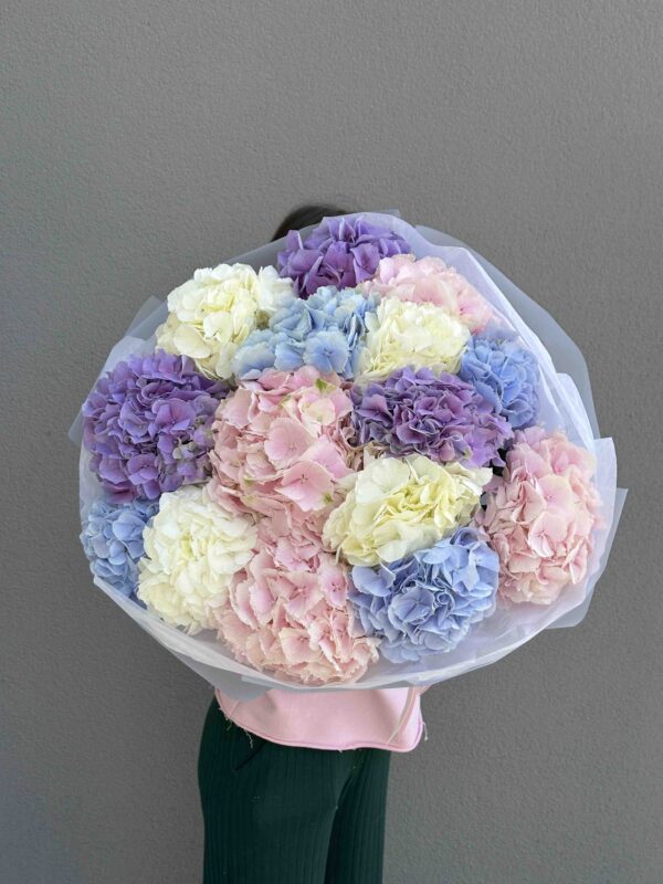 Mix of hydrangeas