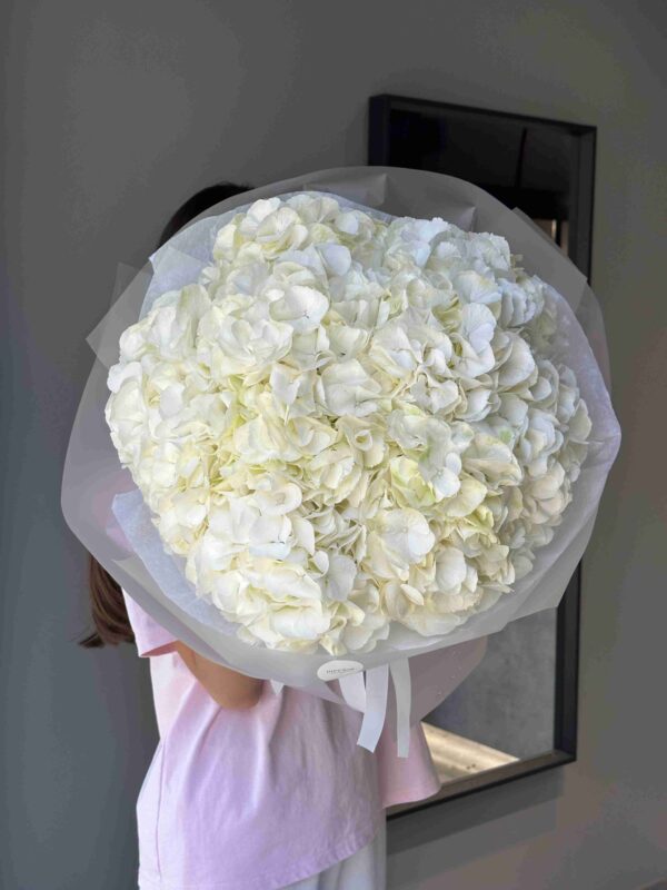 Bouquet of white hydrangeas