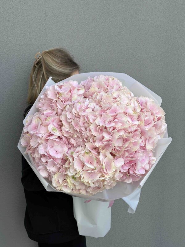 Bouquet of pink hydrangeas