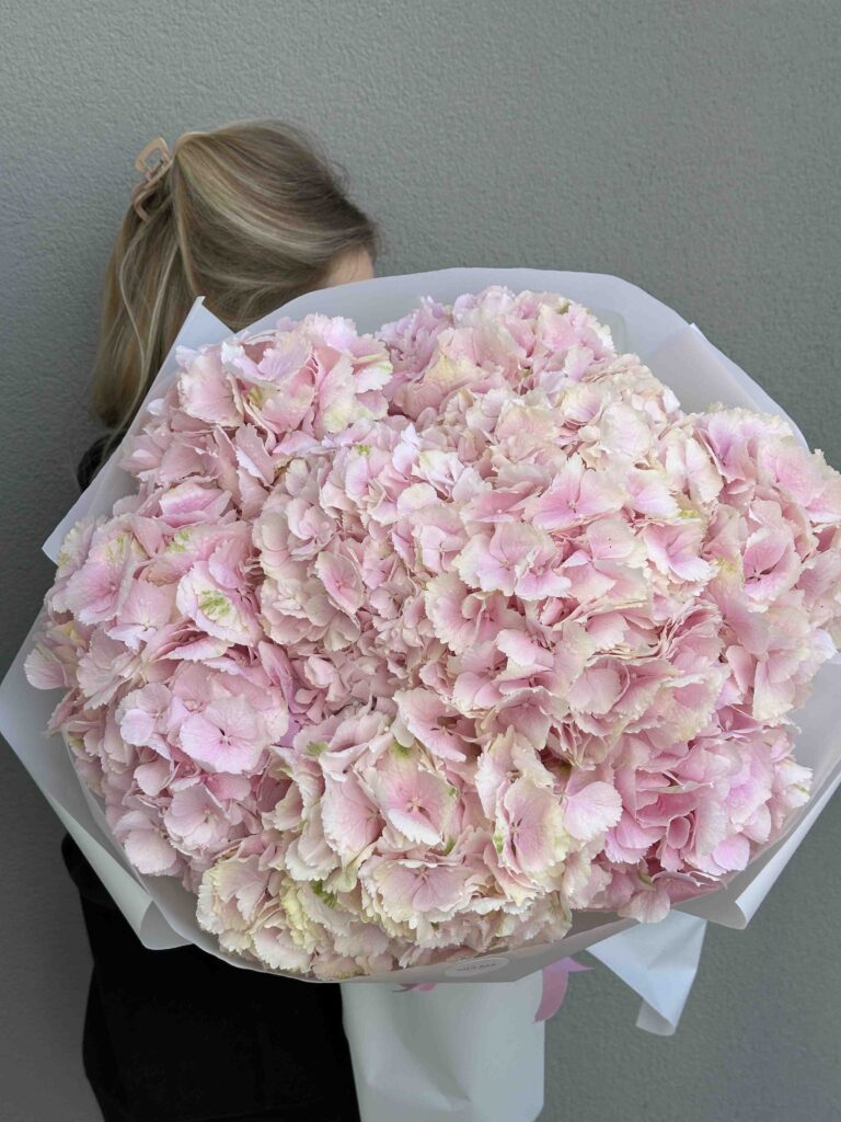 Bouquet of pink hydrangeas