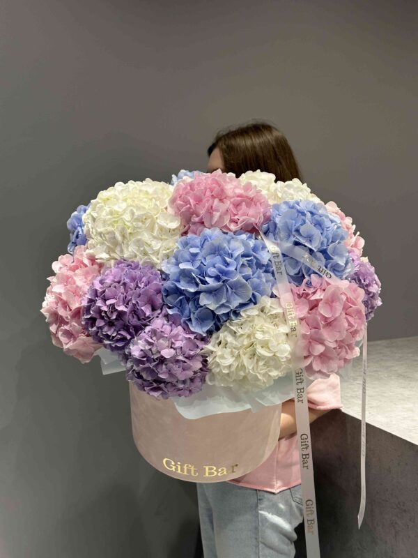 Mix of hydrangeas in flowerbox