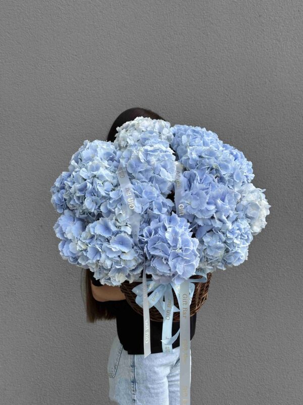 Basket of blue hydrangeas