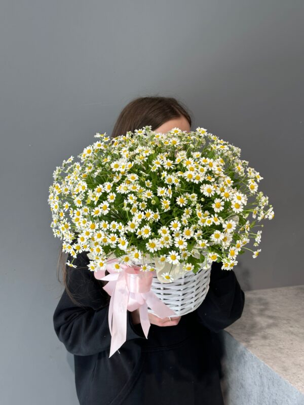 Basket of Chamomile