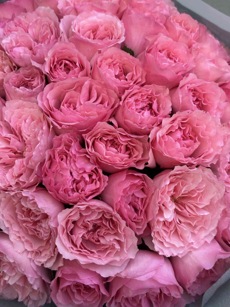 Bouquet of roses Mayra Pink