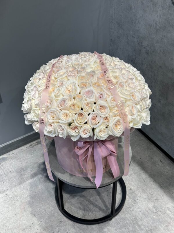 Róże White O'Hara w pudełku