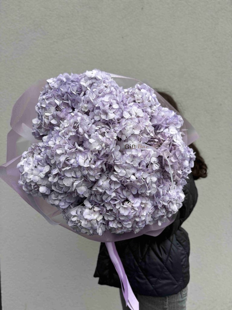 Bouquet of lavender hydrangeas