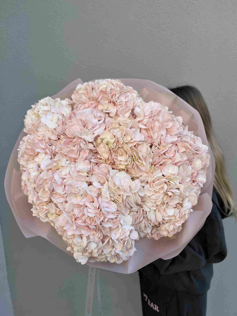 Bouquet of pink hydrangeas