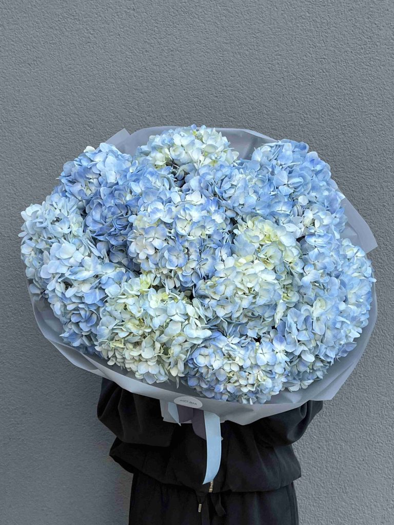 Bouquet of blue hydrangeas