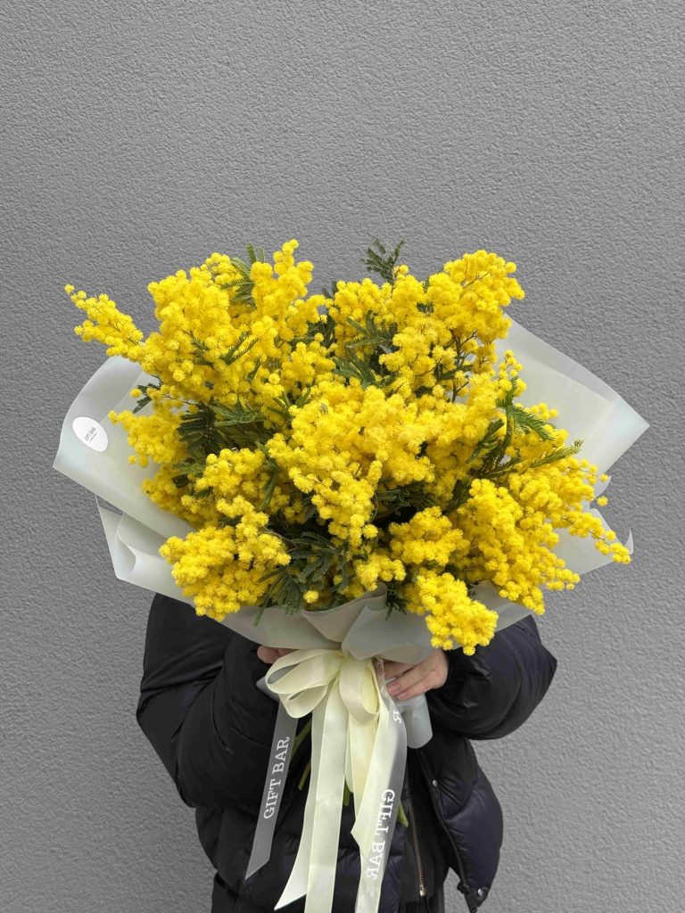 Bouquet of mimosa