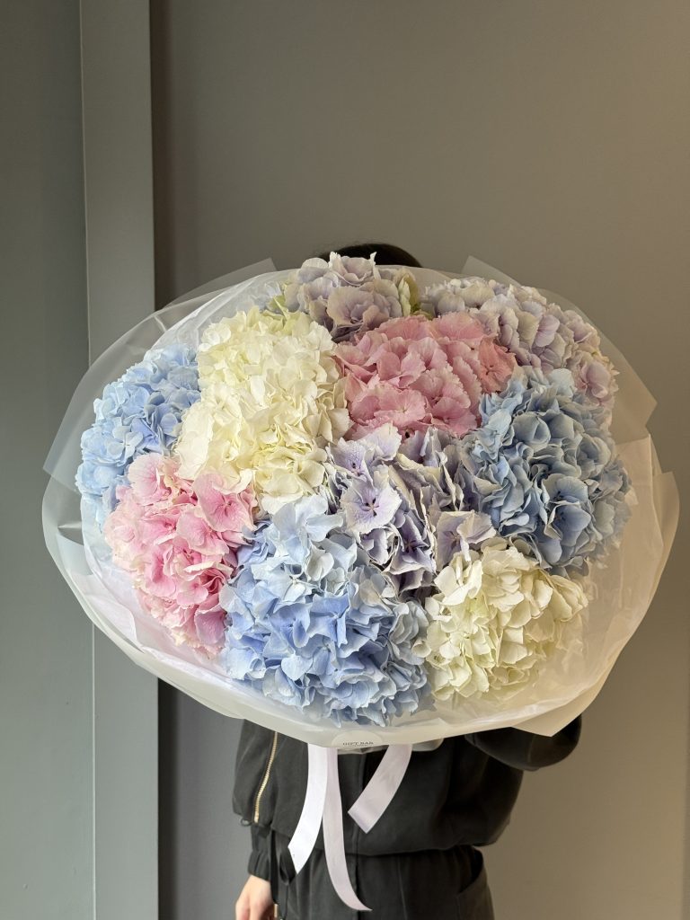 Mix of hydrangeas