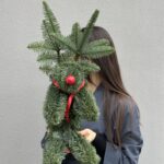 Сидящий олень