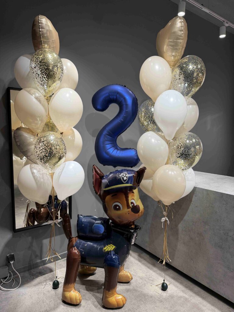 Set of balloons “Psi Patrol”