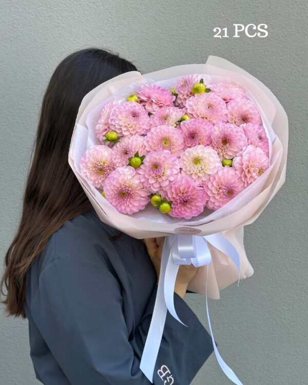 Bouquet of pink dahlias